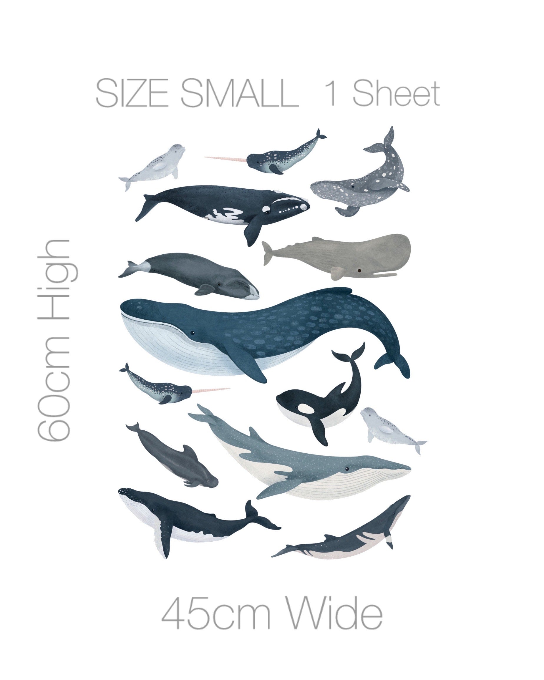 Decal Mini - Whales Of The World