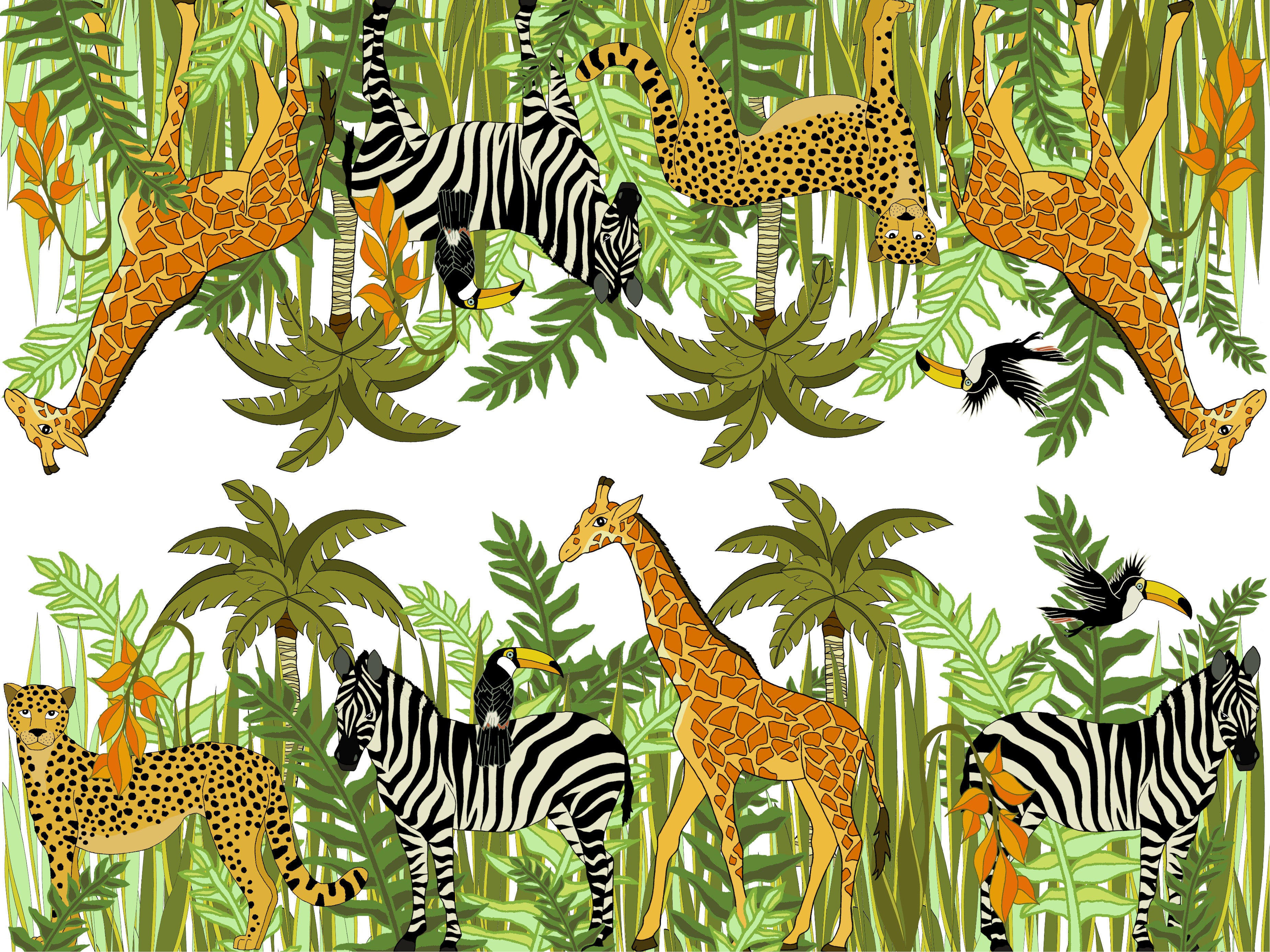 Free download Jungle Wallpaper Border Decals Baby Boy Nursery Kids Room Zoo  Animal 800x563 for your Desktop Mobile  Tablet  Explore 47 Kids Room Wallpaper  Border  Spiderman Wallpaper for Kids