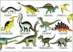 Poster - Dinosaur Name Chart – Dino Raw